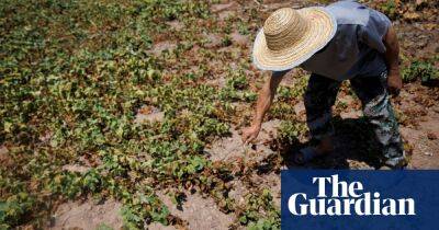 China issues alert as drought and heatwave put crops at risk