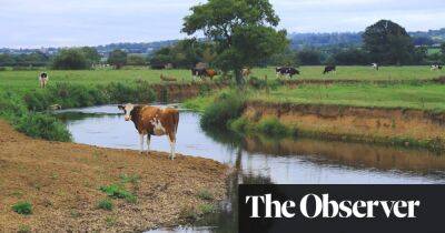 Liz Truss allowed farmers to pollute England’s rivers after ‘slashing red tape’, say campaigners