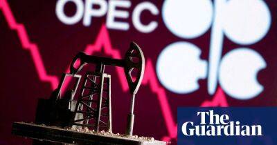 Opec approval of minuscule oil output rise is insult to Biden, say analysts