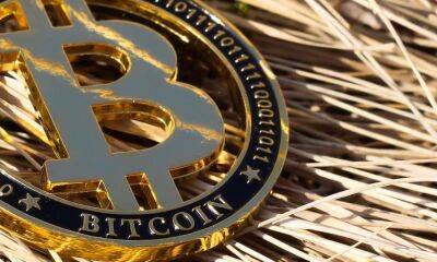 Bitcoin LTHs continue to sell in losses, all despite…