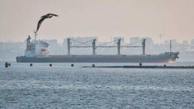 Ukraine war: Five more grain ships due to leave Black Sea ports