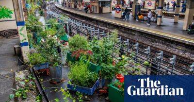 London’s blooming: gardens flourish on the tube – photo essay