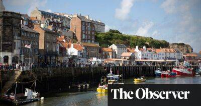 ‘We just want the truth’: British coastal towns fight for answers over mystery sealife deaths