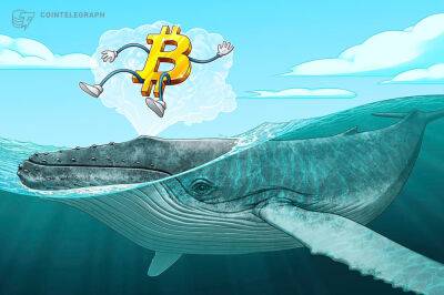 Bitcoin whales send BTC to futures exchanges in ‘classic’ bottom signal