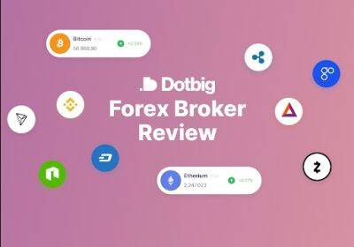 Online Trading with the DotBig Broker