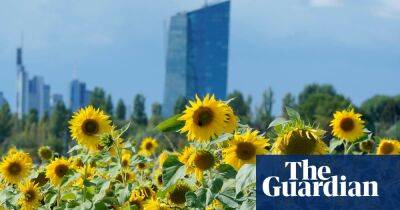 Eurozone interest rates must continue to rise, says European Central Bank