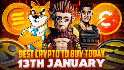 Best Coins to Buy Today 13th January – MEMAG, SHIB, FGHT, SOL, CCHG, APT, RIA, MANA, D2T