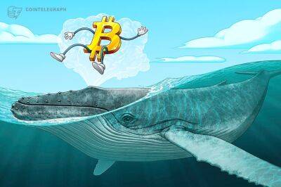 BTC price forms new support at $16.8K as Bitcoin lures 'mega whales'