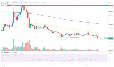 Shiba Inu Price Prediction as SHIB Could Skyrocket to $0.00003000 – Will History Repeat Itself with an 822% October Surge?