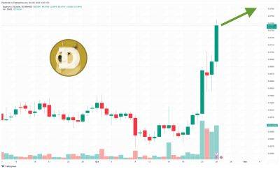 Dogecoin Price Prediction as Altcoins Recover Alongside Bitcoin: Is DOGE Leading the Pack?
