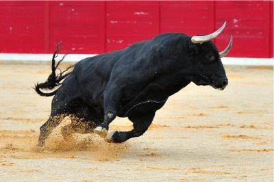Matrixport Says Bitcoin Bull Market Already Started, Targets $125,000 by December 2024