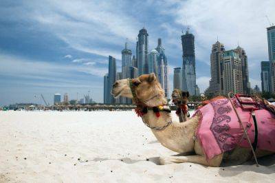 Dubai Regulator Halts Sale and Distribution of Islamic Coin – What's Going On?