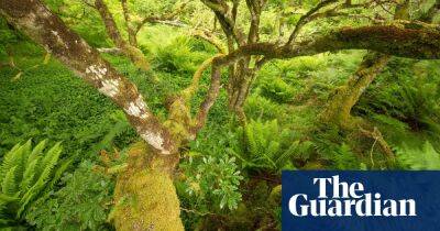 Financial sector ‘critical’ to stemming biodiversity loss, says Thérèse Coffey