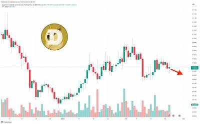 Dogecoin Price Prediction as $600 Million Trading Volume Comes In – Are Whales Buying?