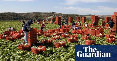 Spanish farmers blame the weather and Brexit for UK salad shortages