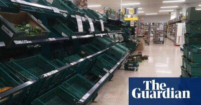 UK salad shortages could last a month, warns environment secretary