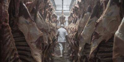 Brazil Suspends Beef Exports to China After Finding Mad-Cow Disease