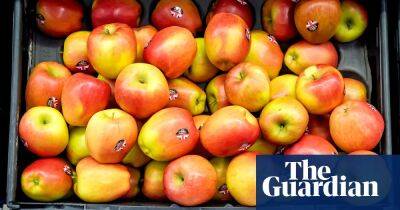 Apples and pears could be next UK food shortage, farmers warn