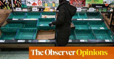 You can blame the weather and Brexit. But there’s more to the UK’s food supply crisis