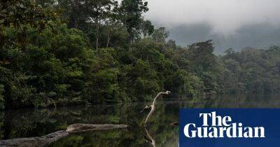 Biggest carbon credit certifier to replace its rainforest offsets scheme