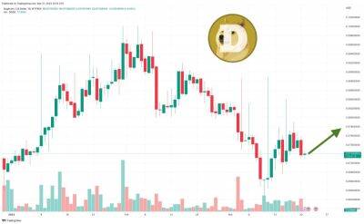Dogecoin Price Prediction as $500 Million Trading Volume Comes In – Are Whales Buying?