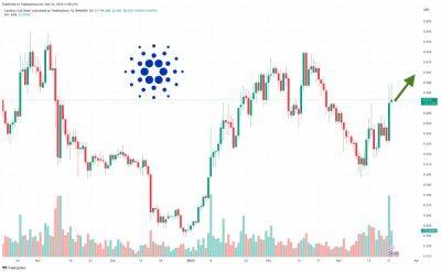Cardano Price Forecast as ADA Becomes One of the Best-Performing Assets in the Market – Are Whales Buying?
