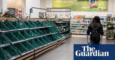 Food tsar blames shortages on UK’s ‘weird supermarket culture’