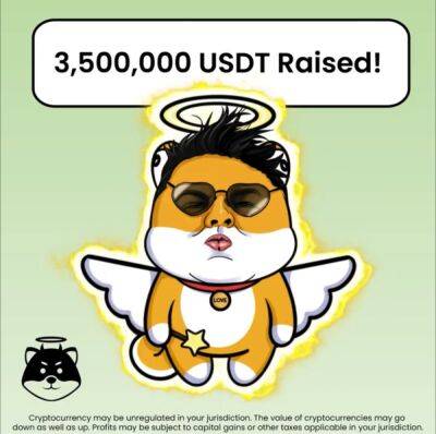 Next Shiba Inu is Love Hate Inu – Raises $3.5 Million as CEO Reveals Exchange, VIP KYC Plans And More