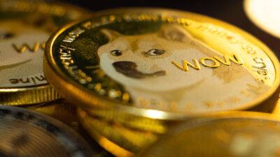 Who Accepts Dogecoin as Payment? 8 Stores That Take DOGE