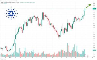 Cardano Price Forecast as $500 Million Trading Volume Comes In – Are Whales Buying?