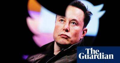 Is the bird really freed? A look back at six months of Musk’s Twitter reign