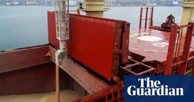 Ukraine grain deal: ship inspections have resumed, says minister