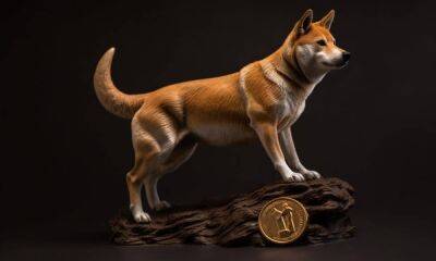 I queried ChatGPT Shiba Inu’s price prediction, it amused me with this answer