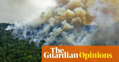The Guardian view on carbon offsetting: an overhaul is overdue