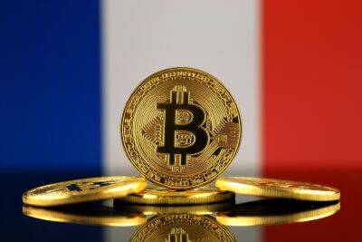 One in 10 French People Own Crypto, Study Finds – Is Adoption Increasing?