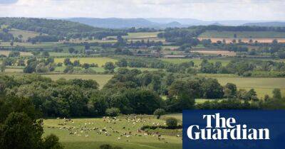 UK failing to honour net zero farming pledges, report finds