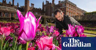 Cost of visit to Hampton Court gardens goes from free to as much as £29