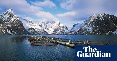 A salmon tax: could Norway’s plan show the way to share the benefits of the seas?