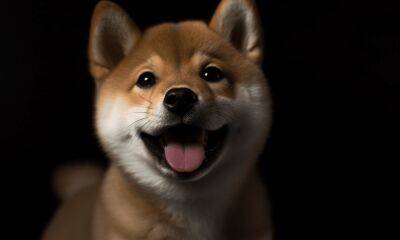 I asked ChatGPT Shiba Inu’s price fortunes, it gave me this very amusing answer