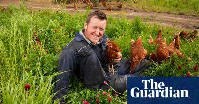 Why are eggs so expensive? Here’s what a farmer and 14,000 hens told me