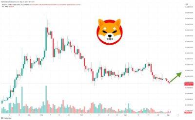 Shiba Inu Price Prediction as Meme Coins See Huge Surge in Volume – New Bull Rally Starting?