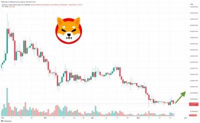Is Shiba Inu Still a Viable Investment? SHIB Price Declines While SPONGE Shows Strong Rally - Is There 100x Potential in 2023?