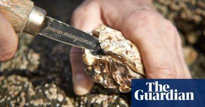 Sewage spills blamed as E coli forces Cornish shellfish sites to close