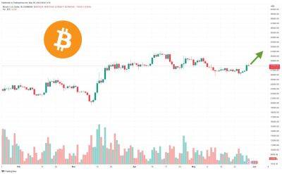 Bitcoin Price Bounces From 21 Weekly EMA - Risk on For Low Market Cap Tokens & Meme Coins?