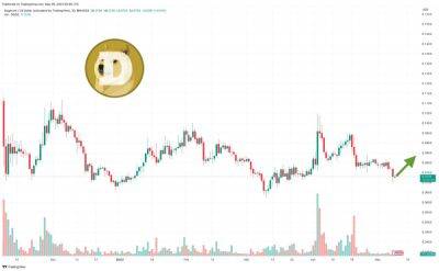 Dogecoin Price Prediction as $600 Million Trading Volume Comes In But Whales Say SPONGE is a Better Buy