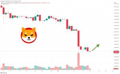 Shiba Inu Price Prediction as $100 Million Trading Volume Comes In – Are Whales Buying SHIB at This Level?