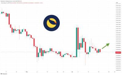 Terra Luna Classic Price Prediction as LUNC Keeps Rising Steadily – Are Whales Accumulating?