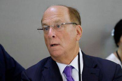 BlackRock’s Larry Fink retires use of ‘weaponised’ ESG term after political backlash