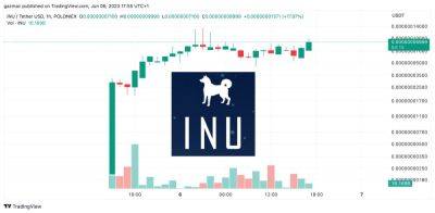 New Shiba Inu, China-Japan INU Meme Coin Price Explodes 40,000%, Wall St Memes Pumps to $4.5m