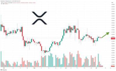 XRP Price Prediction as Bulls Hold $0.48 Level – Where is XRP Heading Now?